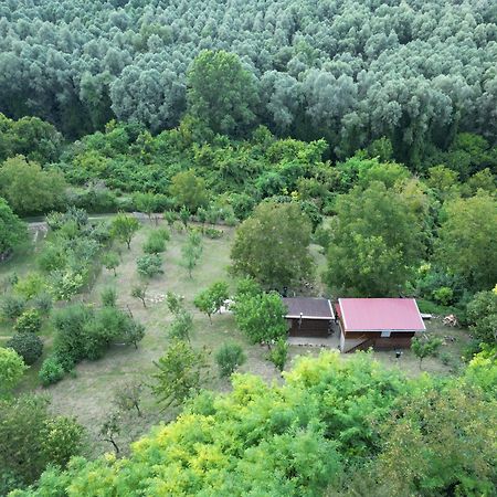 Villa Odmor Za Dusu I Tijelo U Srcu Prirode Aljmaš Exterior foto