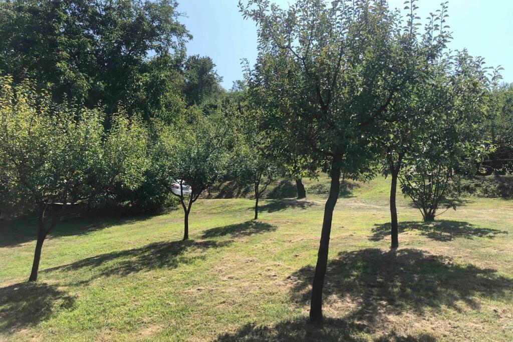 Villa Odmor Za Dusu I Tijelo U Srcu Prirode Aljmaš Exterior foto