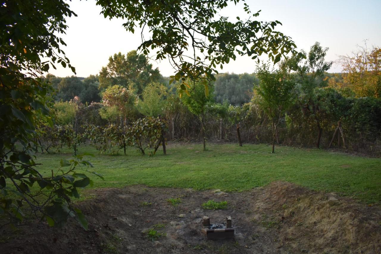 Villa Odmor Za Dusu I Tijelo U Srcu Prirode Aljmaš Exterior foto