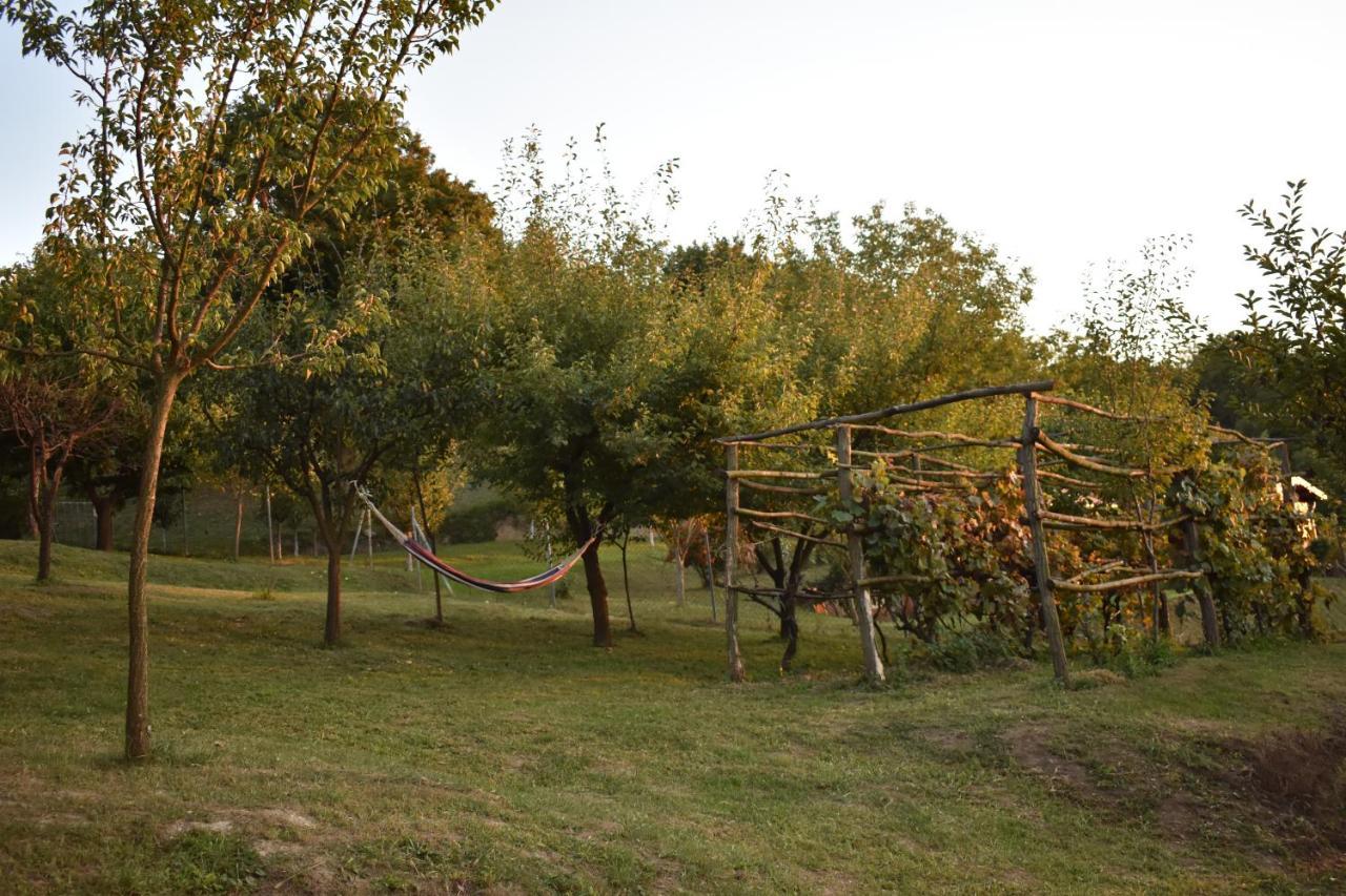 Villa Odmor Za Dusu I Tijelo U Srcu Prirode Aljmaš Exterior foto