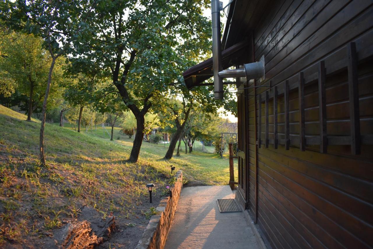 Villa Odmor Za Dusu I Tijelo U Srcu Prirode Aljmaš Exterior foto