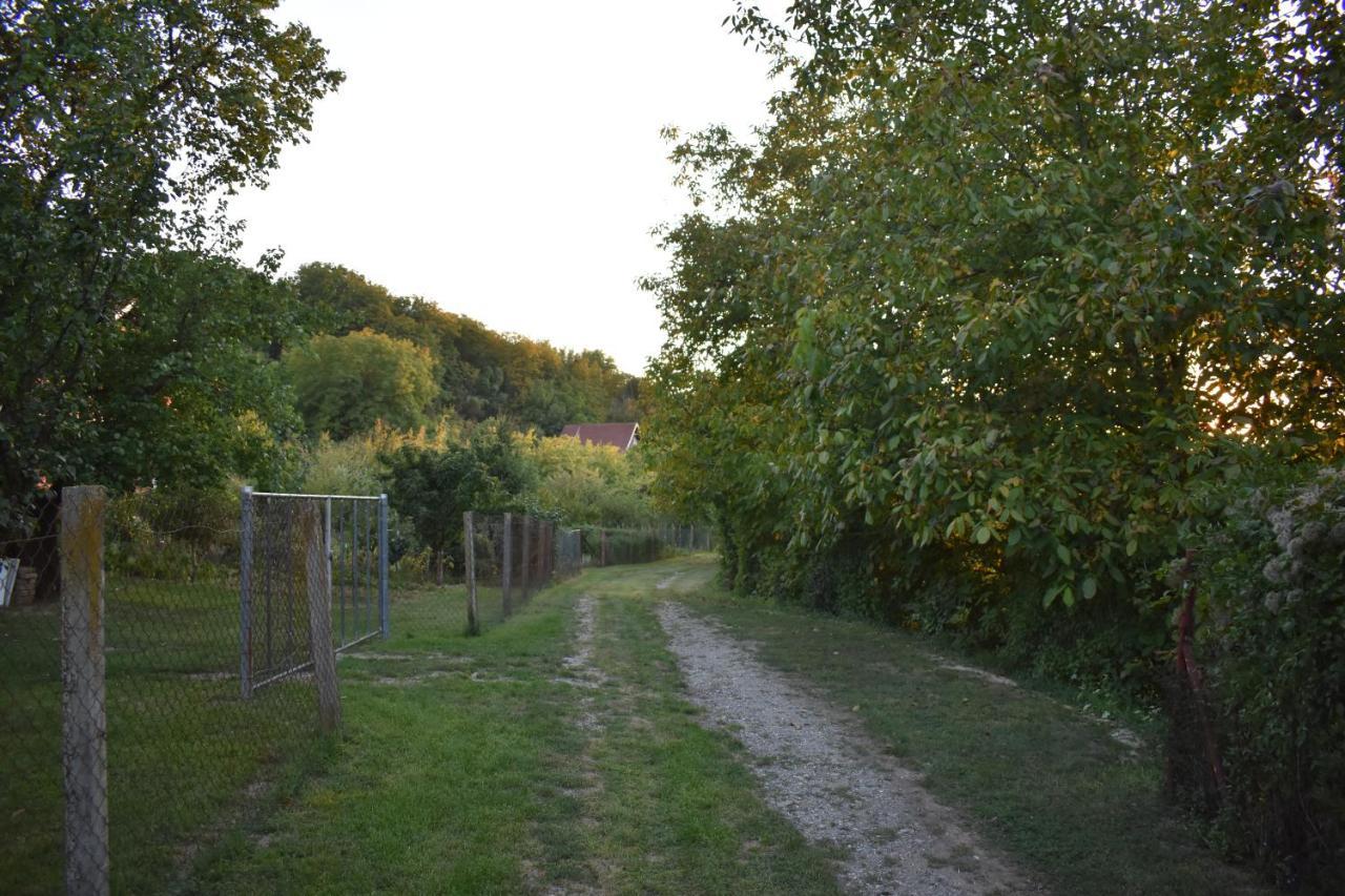 Villa Odmor Za Dusu I Tijelo U Srcu Prirode Aljmaš Exterior foto