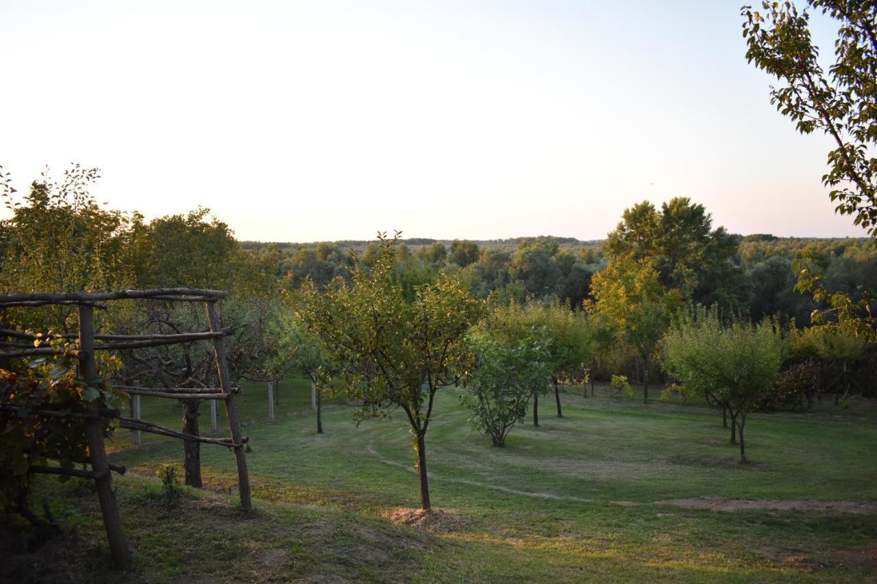 Villa Odmor Za Dusu I Tijelo U Srcu Prirode Aljmaš Exterior foto