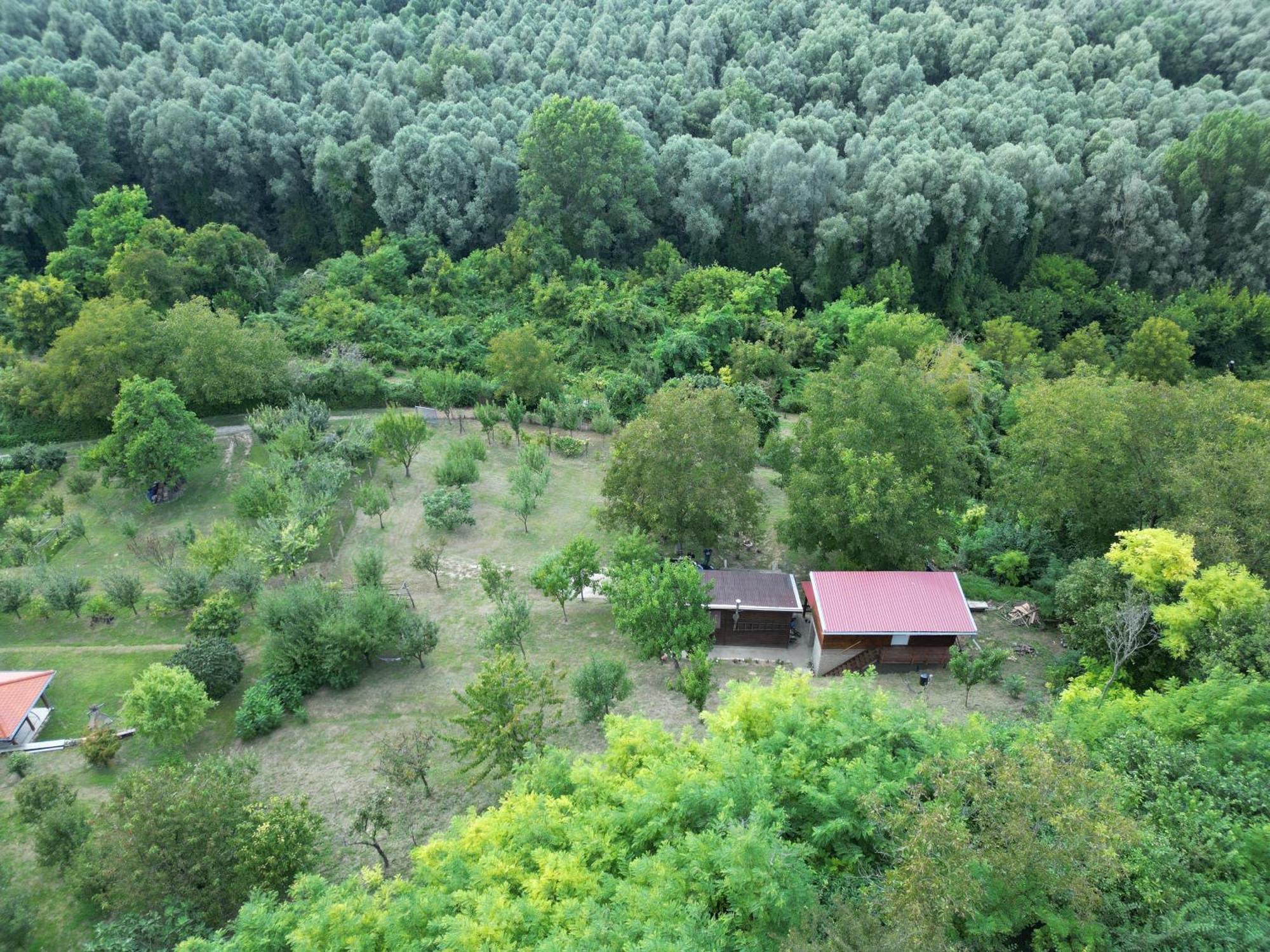 Villa Odmor Za Dusu I Tijelo U Srcu Prirode Aljmaš Exterior foto