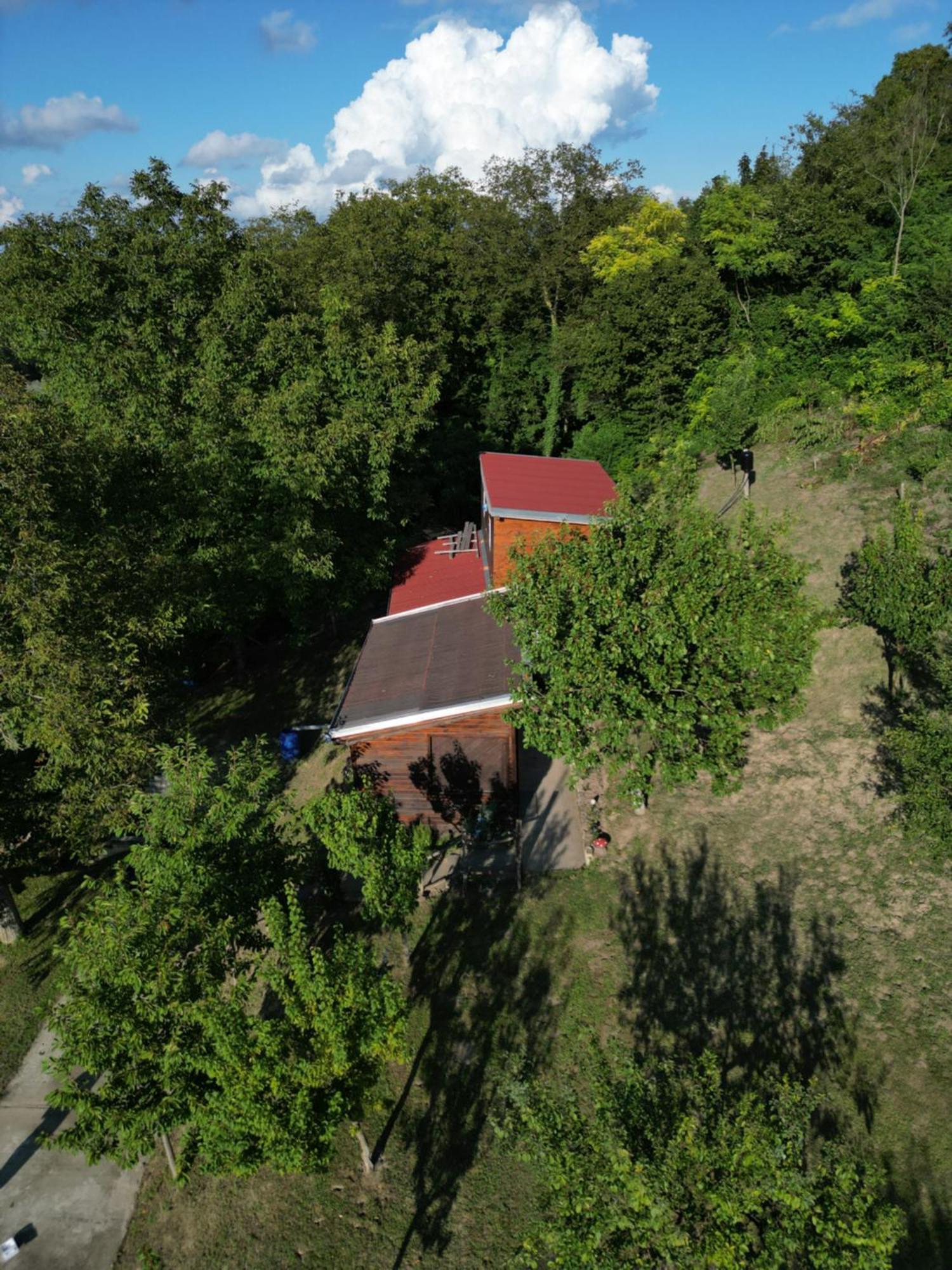 Villa Odmor Za Dusu I Tijelo U Srcu Prirode Aljmaš Exterior foto