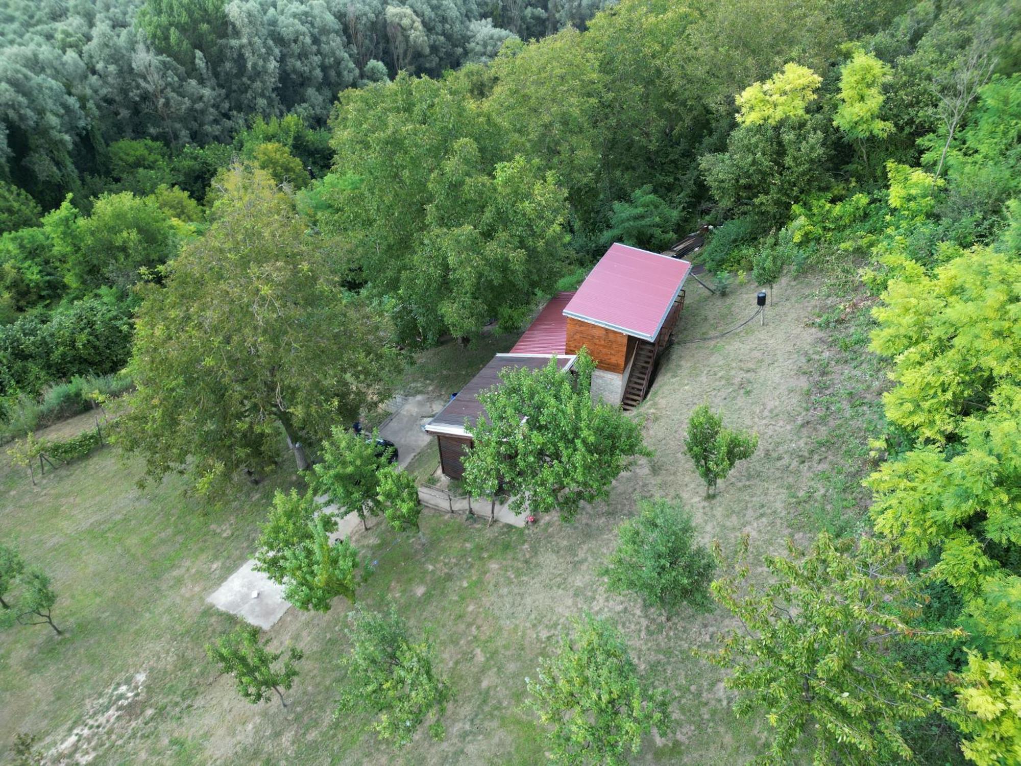 Villa Odmor Za Dusu I Tijelo U Srcu Prirode Aljmaš Exterior foto